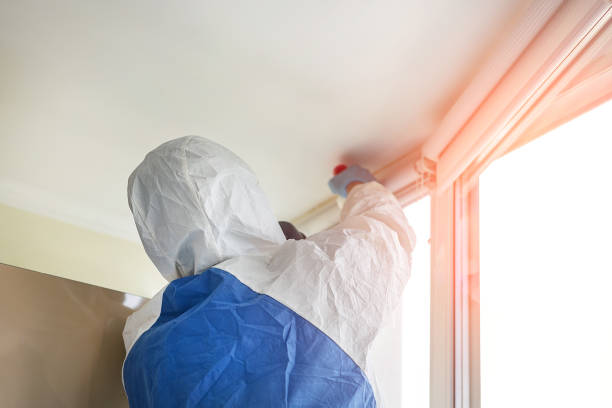 Bacliff, TX Mold Removal Company